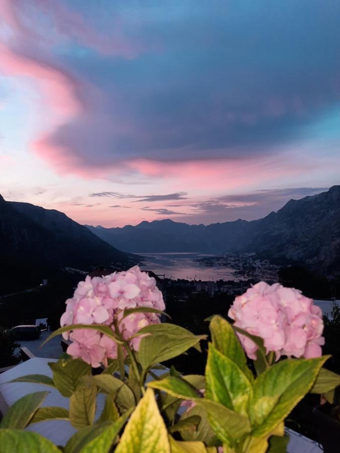 Apartmani Vasilije Kotor Exteriér fotografie